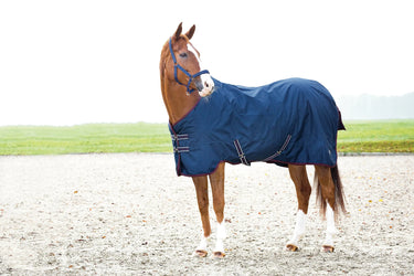 Horseguard Turnout Rug 600D 0G| Online For Equine