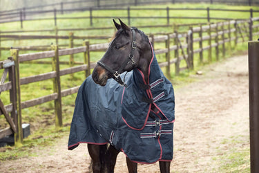 Horseguard Turnout Rug 600D With Detachable Neck 200G| Online For Equine