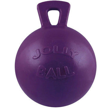 Buy Horsemen'S Pride Jolly Ball  Purple | Online for Equine