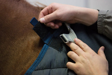 Buy Horseware Ireland 100g Rug Liner| Online for Equine