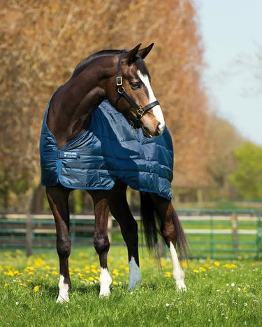 Buy Horseware Ireland 200g Rug Liner| Online for Equine