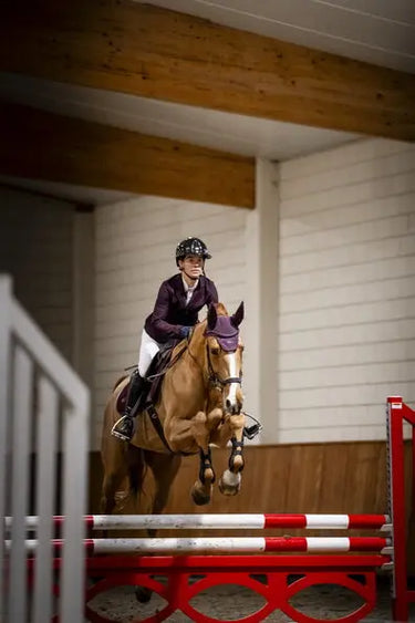 Horseware Ireland AA Ear Net Primatova| Online For Equine