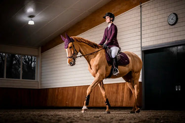 Horseware Ireland AA Ear Net Primatova| Online For Equine