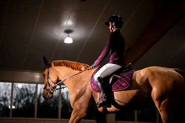 Horseware Ireland AA Ear Net Primatova| Online For Equine