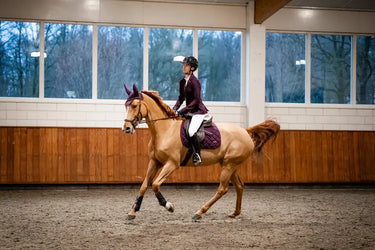 Horseware Ireland AA Ear Net Primatova| Online For Equine