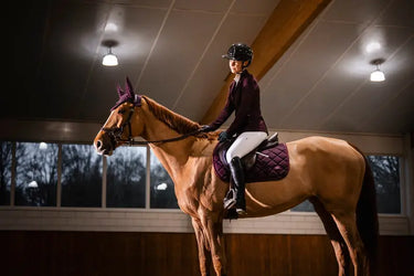 Horseware Ireland AA Ear Net Primatova| Online For Equine