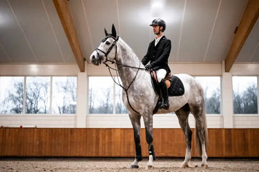 Horseware Ireland AA Ear Net Sicilian Black| Online For Equine