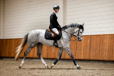 Horseware Ireland AA Ear Net White| Online For Equine