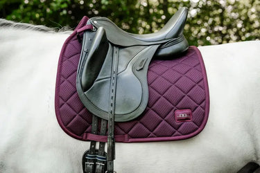 Horseware Ireland AA Performance Dressage Pad Primatova| Online For Equine