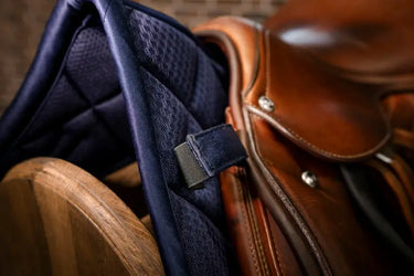 Horseware Ireland AA Performance Jump Pad Nightshade| Online For Equine