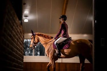 Horseware Ireland AA Performance Jump Pad Primatova| Online For Equine