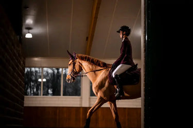 Horseware Ireland AA Performance Jump Pad Primatova| Online For Equine