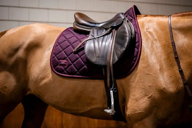 Horseware Ireland AA Performance Jump Pad Primatova| Online For Equine