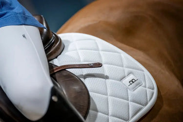 Horseware Ireland AA Performance Jump Pad White| Online For Equine