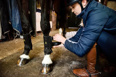 Horseware Ireland Adagio Boots| Online For Equine