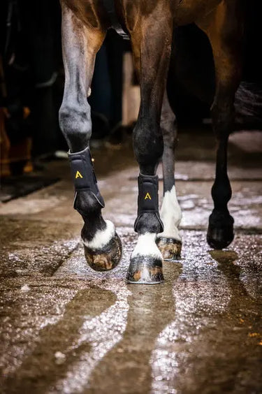 Horseware Ireland Adagio Boots| Online For Equine