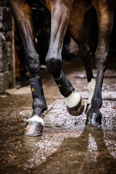 Horseware Ireland Adagio Boots| Online For Equine