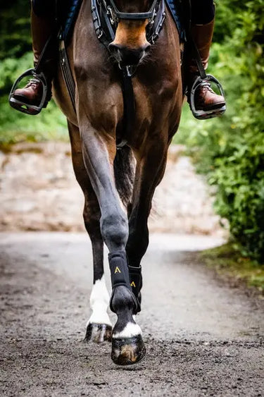 Horseware Ireland Adagio Boots| Online For Equine