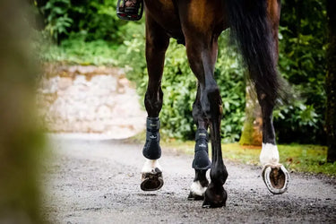 Horseware Ireland Adagio Boots| Online For Equine