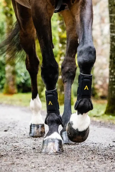 Horseware Ireland Adagio Boots| Online For Equine