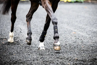 Horseware Ireland Adagio Boots| Online For Equine