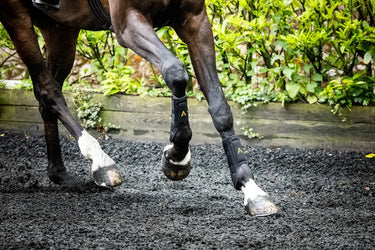 Horseware Ireland Adagio Boots| Online For Equine