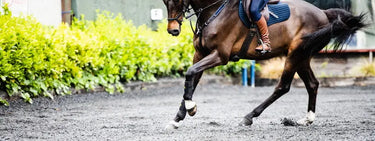 Horseware Ireland Adagio Boots| Online For Equine