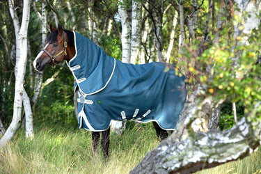 Buy Horseware Ireland AmEco Bravo 12 Plus Lite 100g Detachable Neck Turnout Rug (Disc Front)| Online for Equine