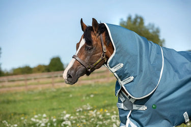 Buy Horseware Ireland AmEco Bravo 12 Plus Lite 100g Detachable Neck Turnout Rug (Disc Front)| Online for Equine