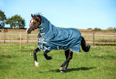 Buy Horseware Ireland AmEco Bravo 12 Plus Lite 100g Detachable Neck Turnout Rug (Disc Front)| Online for Equine
