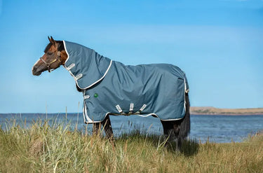 Horseware Ireland Ameco 1200D Plus Turnout Rug 0G| Online For Equine