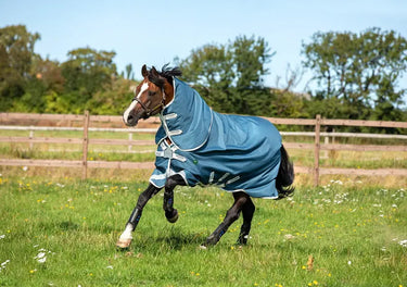 Horseware Ireland Ameco 1200D Plus Turnout Rug 0G| Online For Equine