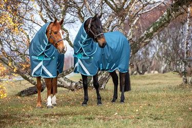 Horseware Ireland Ameco 1200D Plus Turnout Rug 250G| Online For Equine