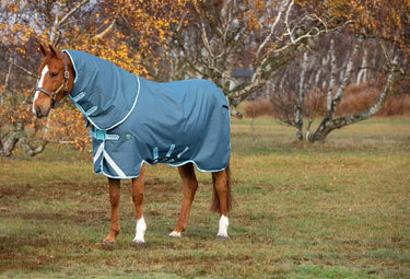 Horseware Ireland Ameco 1200D Plus Turnout Rug 250G| Online For Equine