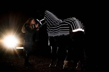 Horseware Ireland Amigo 1200D Fieldsafe Reflectech Plus Turnout Rug 0G| Online For Equine