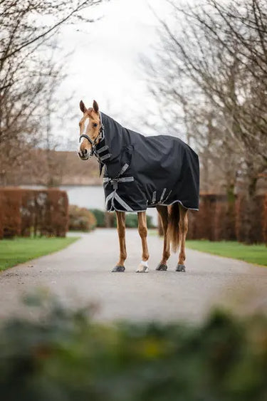 Horseware Ireland Amigo 1200D Integrated Turnout Rug 250G Black / Titanium Grey & Silver| Online For Equine