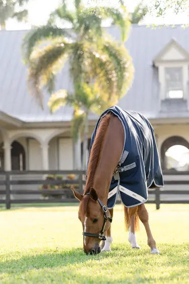 Horseware Ireland Amigo 1200D Turnout Rug 0G Navy / Titanium Grey & Silver| Online For Equine
