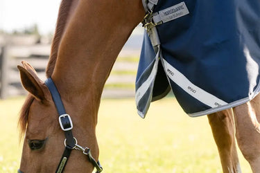 Horseware Ireland Amigo 1200D Turnout Rug 0G Navy / Titanium Grey & Silver| Online For Equine