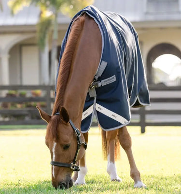 Horseware Ireland Amigo 1200D Turnout Rug 250G Navy / Titanium Grey & Silver| Online For Equine