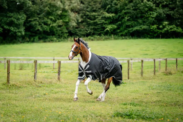 Horseware Ireland Amigo 1200D Xl Turnout Rug 50G Black / Titanium Grey & Silver| Online For Equine