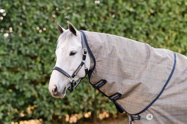 Horseware Ireland Amigo 900D Revive Plus Turnout Rug 200G| Online For Equine