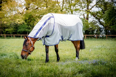 Horseware Ireland Amigo Airflow Plus Rug| Online For Equine