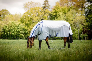 Horseware Ireland Amigo Airflow Plus Rug| Online For Equine