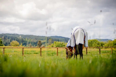 Horseware Ireland Amigo Airflow Plus Rug| Online For Equine