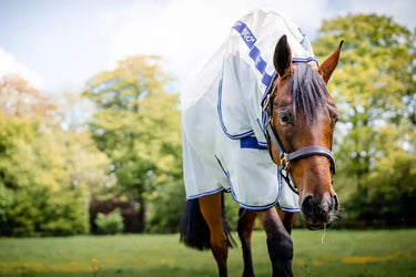 Horseware Ireland Amigo Airflow Plus Rug| Online For Equine