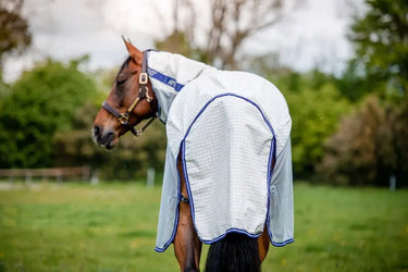 Horseware Ireland Amigo Airflow Plus Rug| Online For Equine