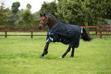 Buy Horseware Ireland Amigo Bravo 12 Original Lite 0g Turnout Rug (Disc Front)| Online for Equine