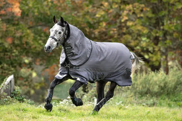 Buy Horseware Ireland Amigo Bravo 12 Reflective Plus 100g Detachable Neck Turnout Rug| Online for Equine