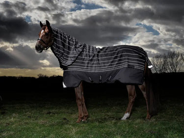 Buy Horseware Ireland Amigo Bravo 12 Reflective Plus 100g Detachable Neck Turnout Rug| Online for Equine