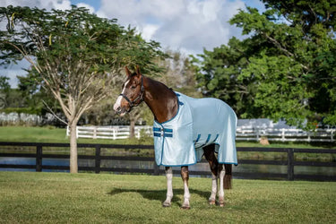 Horseware Ireland Amigo Bug Buster Azure Blue / Navy & Electric Blue| Online For Equine